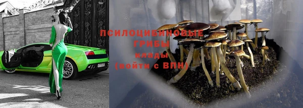 первитин Нязепетровск