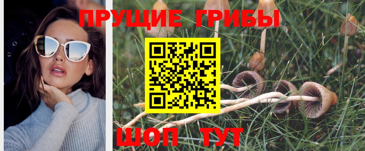 Псилоцибиновые грибы мицелий  Ишимбай  Псилоцибиновые грибы мухоморы 